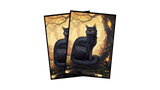 Black Cat